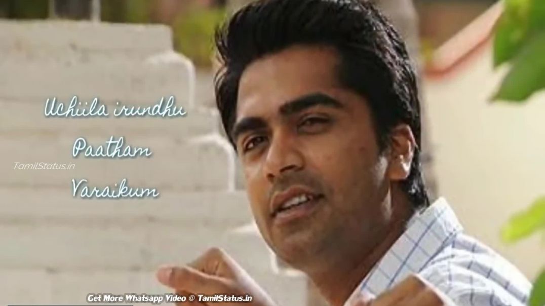 Simbu Love Feeling Dialogue Tamil Whatsapp Video Tamil Status