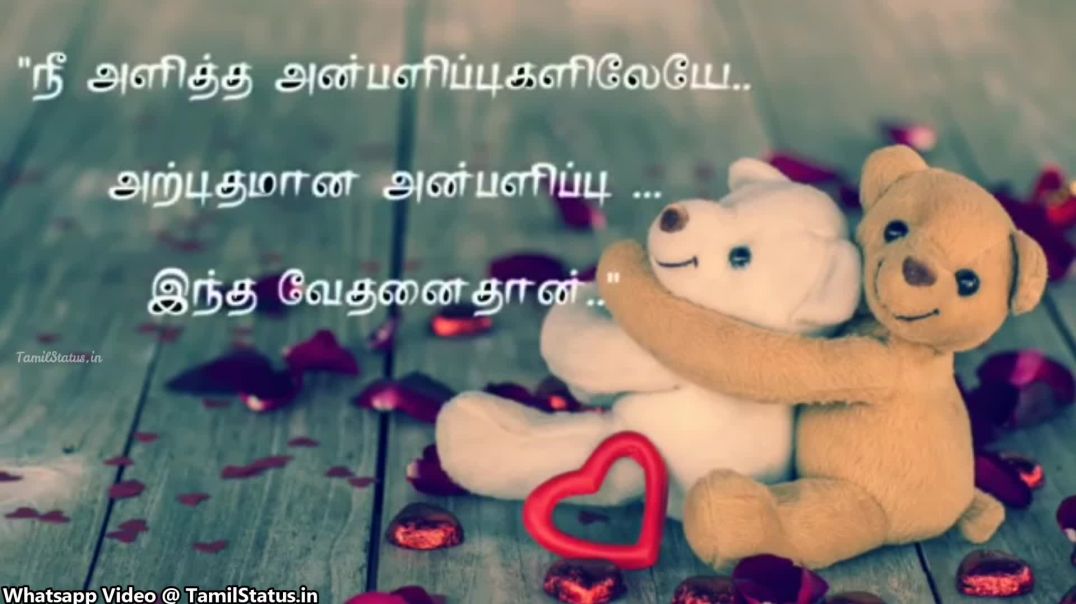 Kadhal Kavithai  Whatsapp Status Tamil Video Download