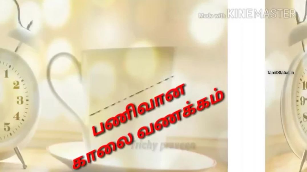 Tamil Beautiful Lines | Whatsapp Video Status Good Morning Quotes