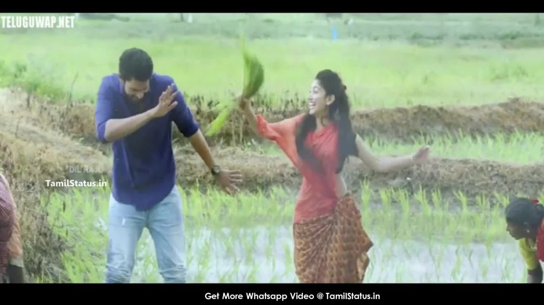 Super Gaana Tamil Song Video Status for Whatsapp Download