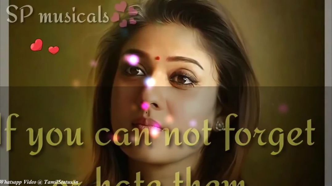 Most Beautiful Love Quotes Whatsapp Status Video Download