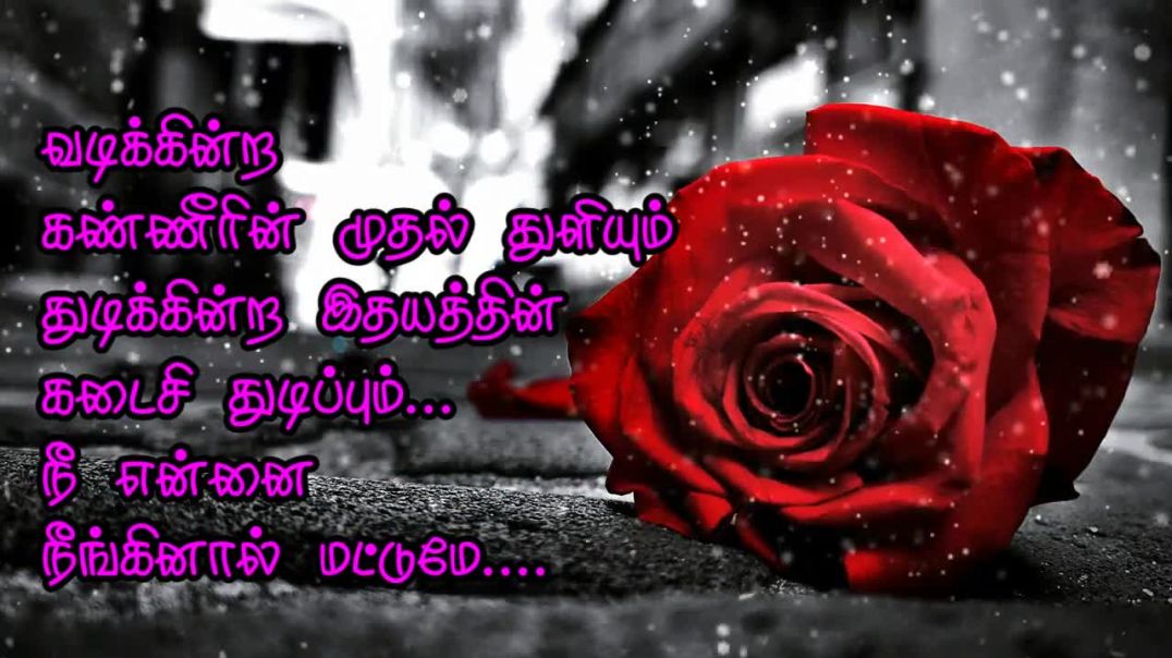 Tamil Heart Touching Love Feeling Whatsapp Status