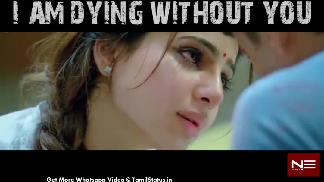 Most Emotional Love Quotes Whatsapp Status Video Download