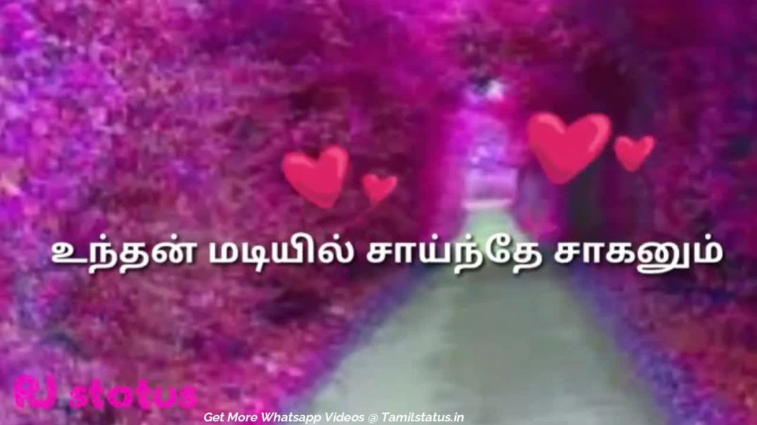 Girls Love Songs Tamil Whatsapp Status | Girls Love Feeling Whatsapp Status Video Tamil