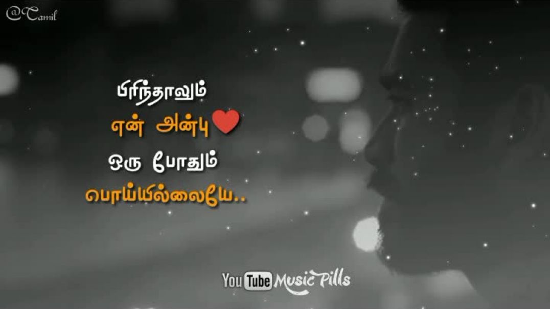 Dhanush Romantic heart touching love song tamil status | Dhanush romantic | Tamil album | whatsapp s