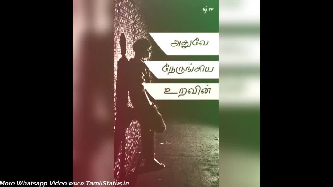 ⁣Tamil quotes for Whatsapp Status Video Download | Whatsapp Status In Tamil About Life Video Download