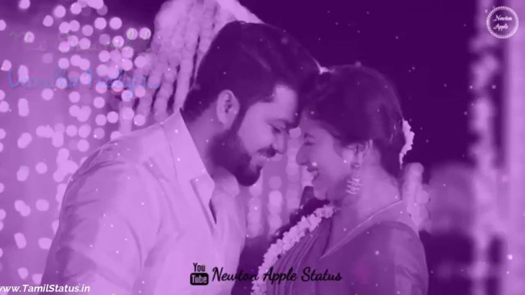 ⁣Raja rani serial semba love scene | Whatsapp status tamil Love status