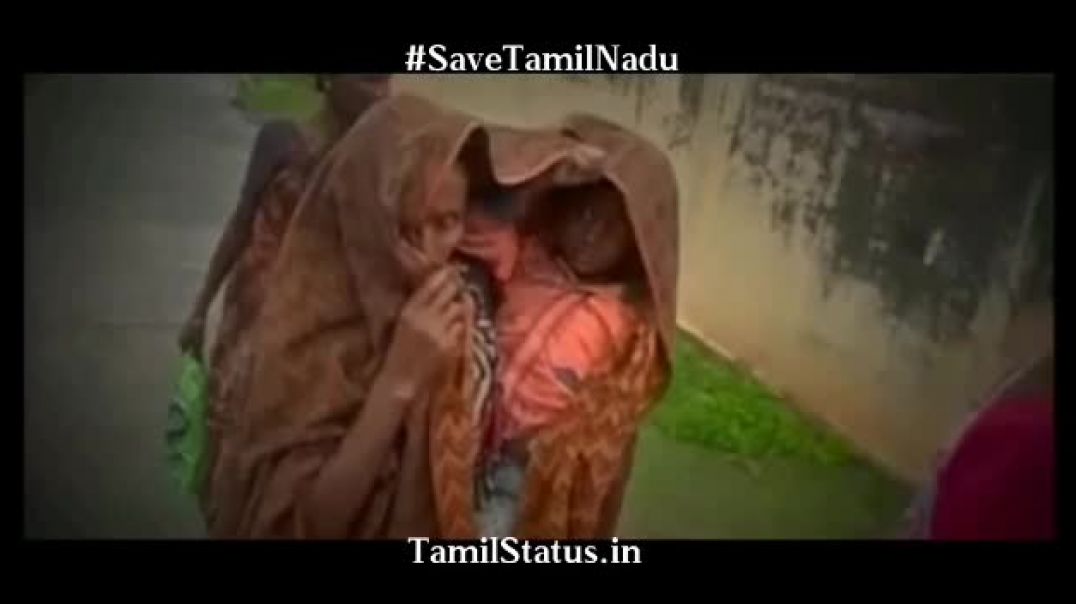 ⁣Gaja Cyclone Videos WhatsApp Status | #SaveTamilNadu