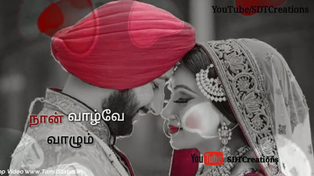 ⁣Loving Couples Tamil Whatsapp  Status Download | Tamil Status Video free Download