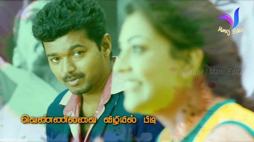 Vijay Love Status Song in Tamil | Tamil Status Video Free Download WhatsApp Status