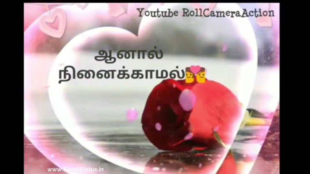 ⁣Most Romantic Love Quotes Whatsapp Vdeo status download | Tamil Status