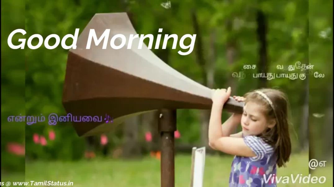 ⁣Good Morning WhatsApp Status Video Free Download  ||  Cute Tamil Status Download