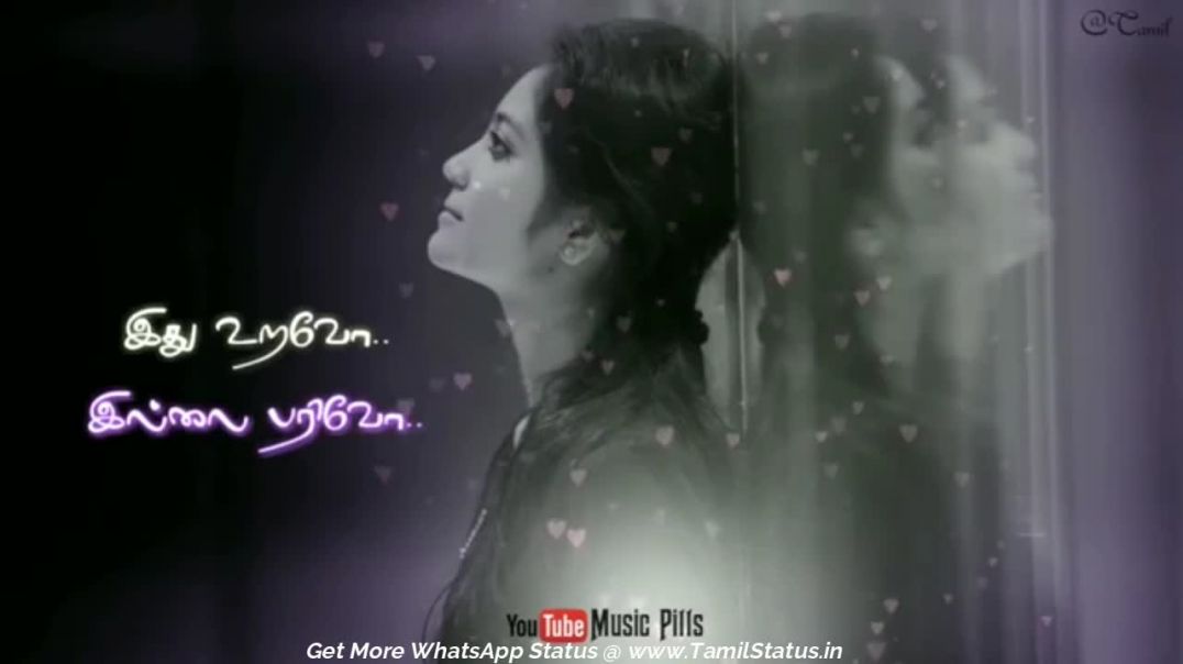 Female Sad Love song | Tamil status whatsapp video