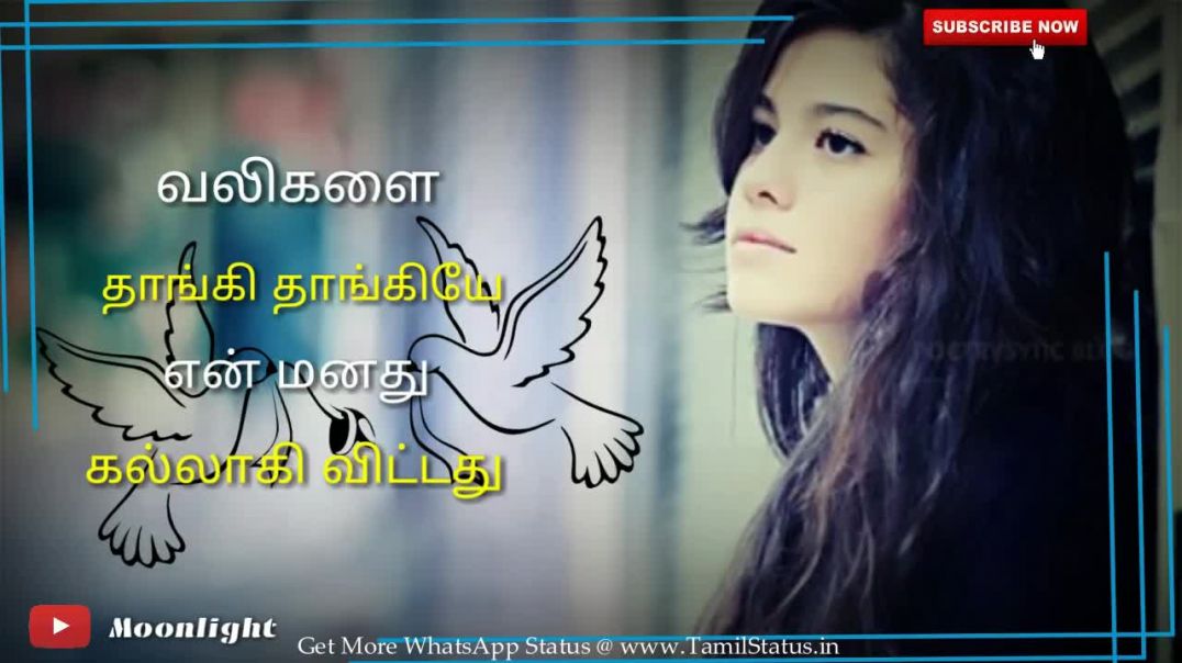 Kadhal Kavithai Whatsapp Status Tamil Video Download Tamil