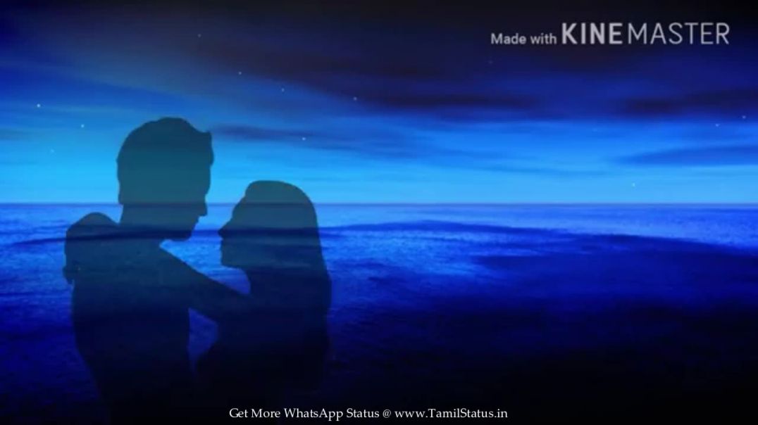 Cute Love song Mp4 Status Videos || tamil status download