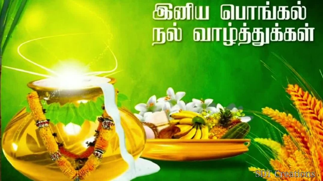 ⁣Tamil status | Download Happy Pongal Whatsapp Video