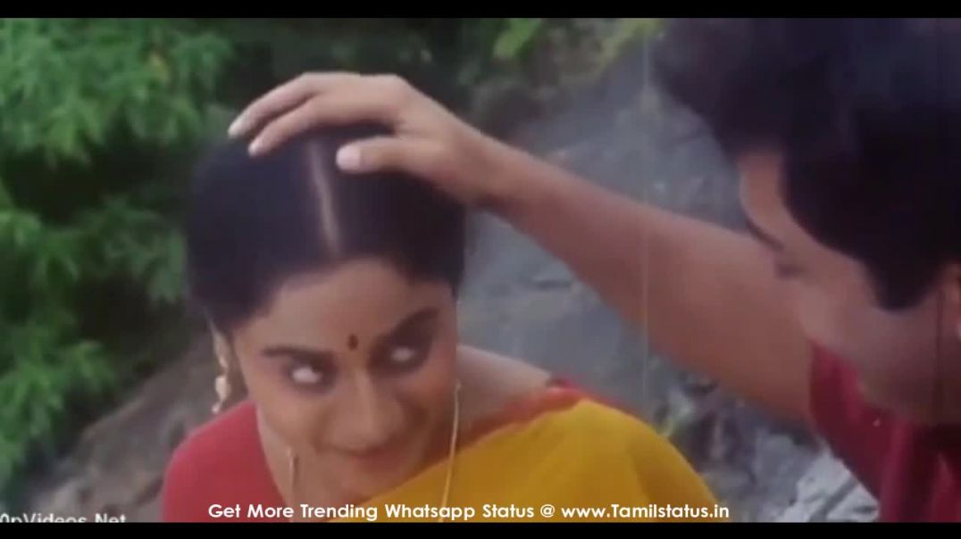 ⁣Heart touching whatsapp status in tamil video download || Tamil status