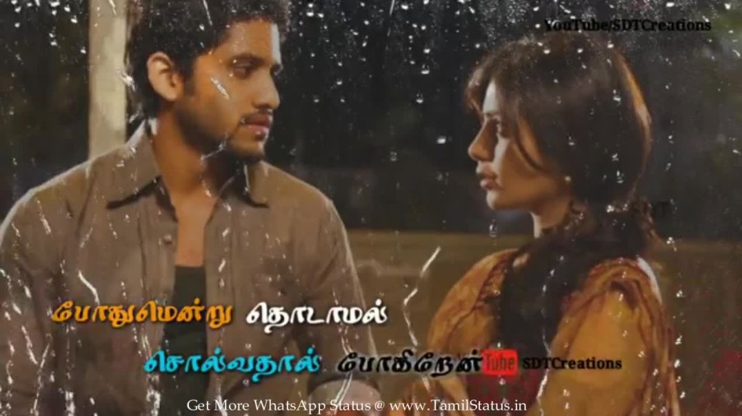 Cute Tamil Status Whatsapp for lovely lyrics downloads