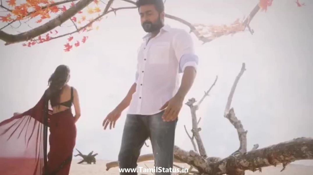 NGK anbe peranbu song whatsapp status download || Tamil status free download