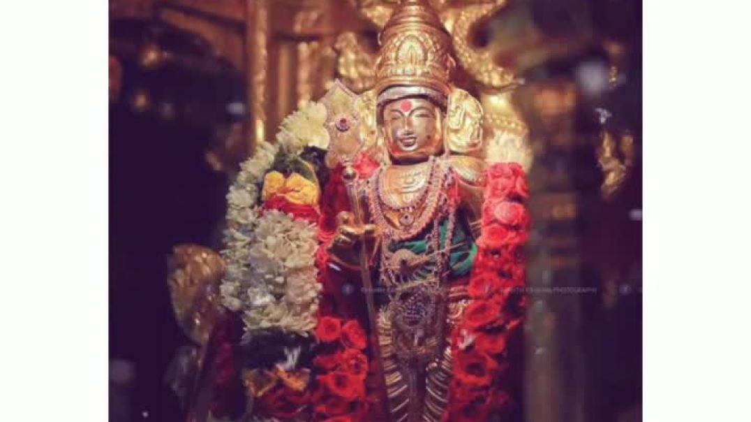 Murugan What_sapp Status  Sashtiyai Nokka Saravana _MuruganWhatsappstatus Loardmurugan tamilgod