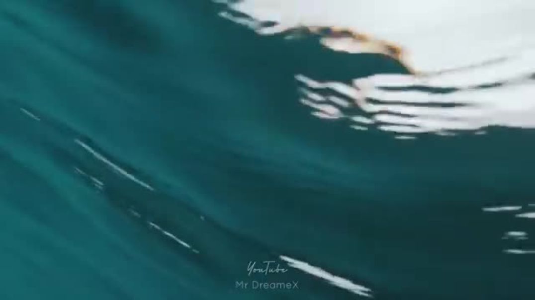 ⁣Hymns for the Weekend Video Status in HD